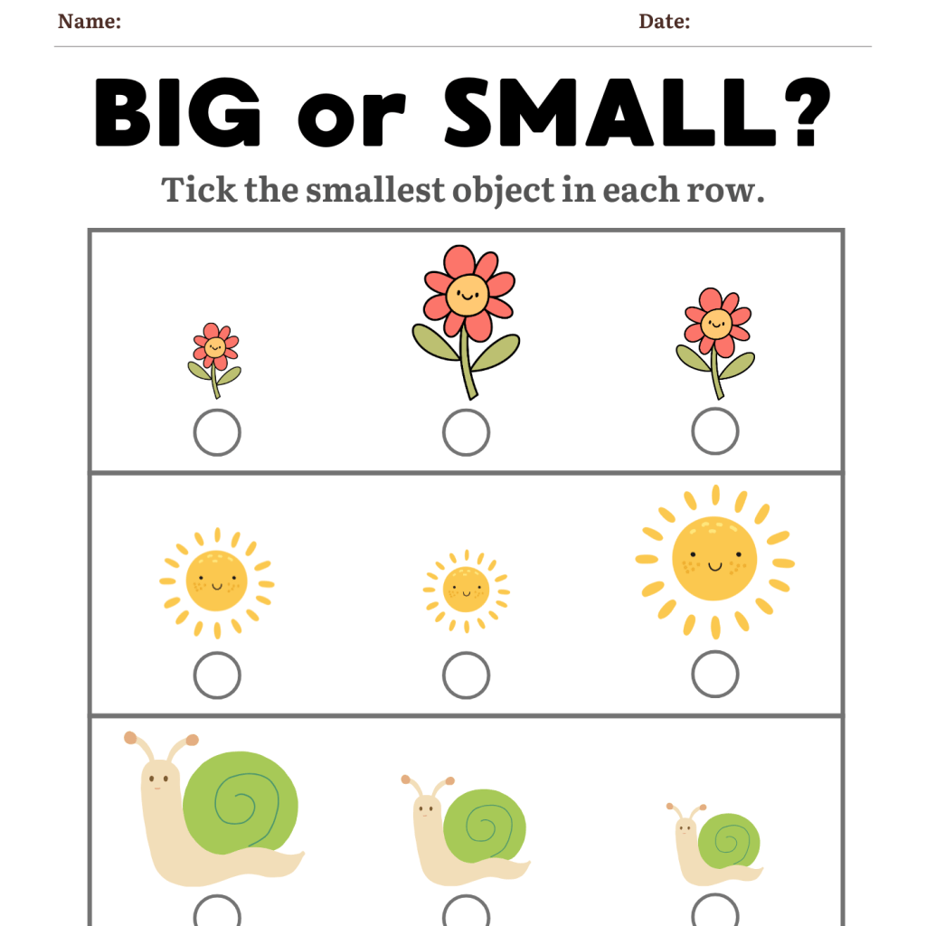 Sorting worksheet showing garden-themed objects in big and small sizes.